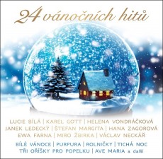 CD / Various / 24 vnonch hit