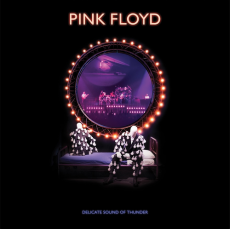2CD / Pink Floyd / Delicate Sound of Thunder / Remastered / 2020 / 2CD
