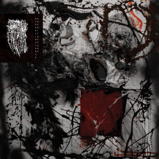 CD / Hissing / Hypervirulence Architecture