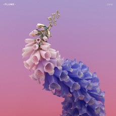 CD / Flume / Skin