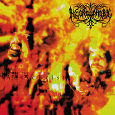 LP / Necrophobic / Third Antichrist / Reissue 2022 / Vinyl