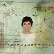 LP / Calcanhotto Adriana / Errante / Vinyl