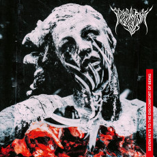 LP / Predatory Void / Seven Keys To The Discomfort Of Being / Vinyl