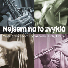 CD / Brabenec/Romanovsk/Tich/Hrub / Nejsem na to zvykl