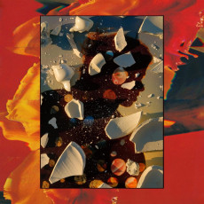 CD / Hand Habits / Sugar The Bruise