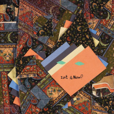 2LP / Animal Collective / Isn't It Now? / Coloured / 2LP / Vinyl
