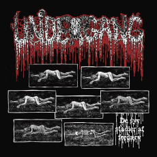 CD / Undergang / De Syv Stadier Af Fordaerv