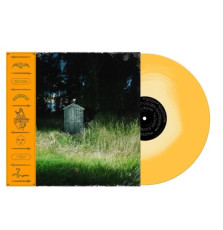 LP / Carter Frank & Rattlesnakes / Dark Raimbow / Colured / Vinyl