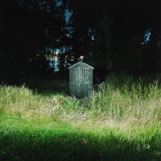 LP / Carter Frank & Rattlesnakes / Dark Raimbow / Colured / Vinyl