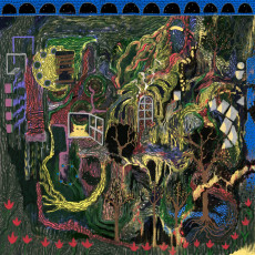 LP / King Gizzard & The Lizard Wizard / Demos Vol.5+6 / Vinyl / 2LP