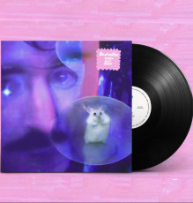 LP / Bachratten / Durch Dich Durch / Vinyl