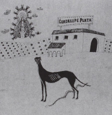 CD / Guadalupe Plata / Guadalupe Plata