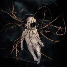 CD / Selbst / Despondency Chord Progressions / Digipack