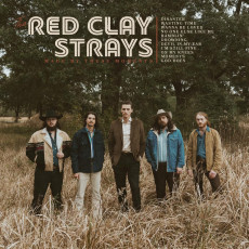 LP / Red Clay Strays / Made By These Moments / Gold / Vinyl
