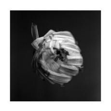 CD / Swarm Of The Sun / An Empire