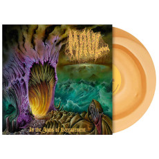 LP / Maul / In The Jaws Of Bereavement / Coloured / Vinyl