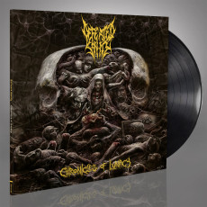 LP / Defeated Sanity / Chronicles Of Lunacy / Vinyl