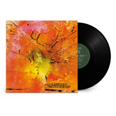LP / Doldinger's Motherhood / Motherhood / Vinyl