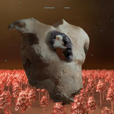 2LP / Soap & Skin / Torso / Vinyl / 2LP