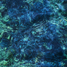 LP / Ichiko Aoba / Luminescent Creatures / Deluxe / Vinyl