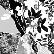 CD / Ponctuation / Mon Herbier Du Monde Entier