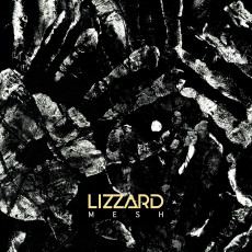 CD / Lizzard / Mesh