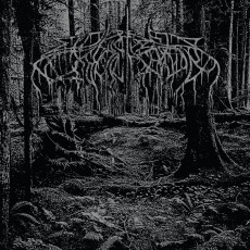LP / Wolves In The Throne Room / 2005 Demo / Black Ice / Vinyl