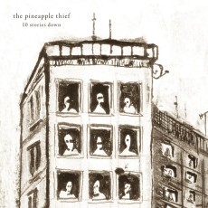LP / Pineapple Thief / 10 Stories Down / Vinyl