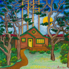 2LP / Low Roar / House In the Woods / Green / Vinyl / 2LP