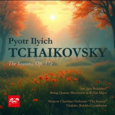 CD / Bulakhov Vladislav,Chamber Orchestra / Seasons,Op.37b
