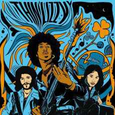 LP / Thin Lizzy / Acoustic Sessions / Reissue / Vinyl