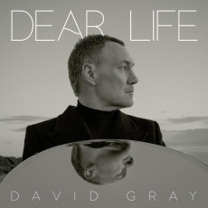 2LP / Gray David / Dear Life / Vinyl / 2LP