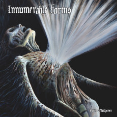 CD / Innumerable Forms / Pain Effulgence