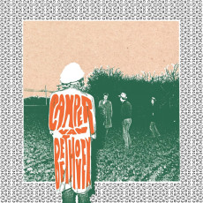 LP / Camper Van Beethoven / Telephone Free Landslide Victory / Vinyl