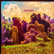 CD / Polymoon / Chrysalis