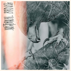 LP / Author & Punisher / Nocturnal Birding / Coloured / Vinyl