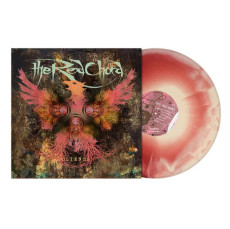 LP / Red Chord / Clients / Bone Oxblood / Vinyl