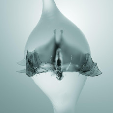 CD / Unprocessed / Angel