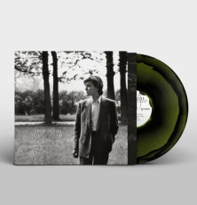 LP / Sylvian David / Brilliant Trees / Coloured / Vinyl