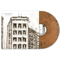 LP / Pineapple Thief / 10 Stories Down / Marbled / Vinyl