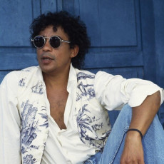 2LP / Laurent Voulzy / 21 souvenirs / Vinyl / 2LP