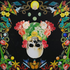 LP / Hippie Death Cult / Helichrysum / Yellow Green Red / Vinyl