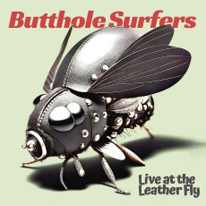 LP / Butthole Surfers / Live At the Leather Fly / Pink / Vinyl