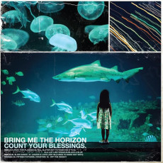 LP / Bring Me The Horizon / Count Your Blessings / Vinyl