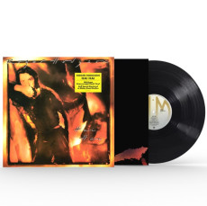 LP / Hodgson Roger / Hai Hai / Half-Speed / Vinyl