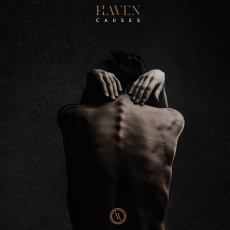 LP / Haven / Causes / Vinyl