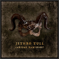 LP/CD / Jethro Tull / Curious Ruminant / Artbook / Vinyl / 2LP+2CD+Blu-Ray