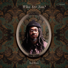 2LP / Ross Joel / Who Are You? / Vinyl / 2LP