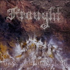 LP / Fraught / Transfixed On Dying Light / Vinyl
