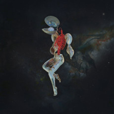 LP / Hail Spirit Noir / Fossil Garden / Galaxy / Vinyl